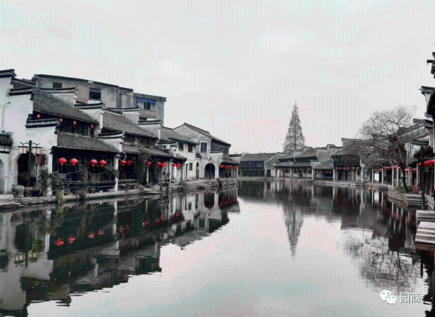 见放养的羊无人看管，早餐店老板抱起两只装进车